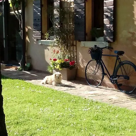 Διαμέρισμα Haus Heidi La Zecchina